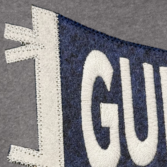 Toddler Cozy Hoodie with Felt Patch